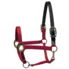 Perri's Premium Nylon Safety Halter -Weatherbeeta Store red 08563.1588257174.1280.1280